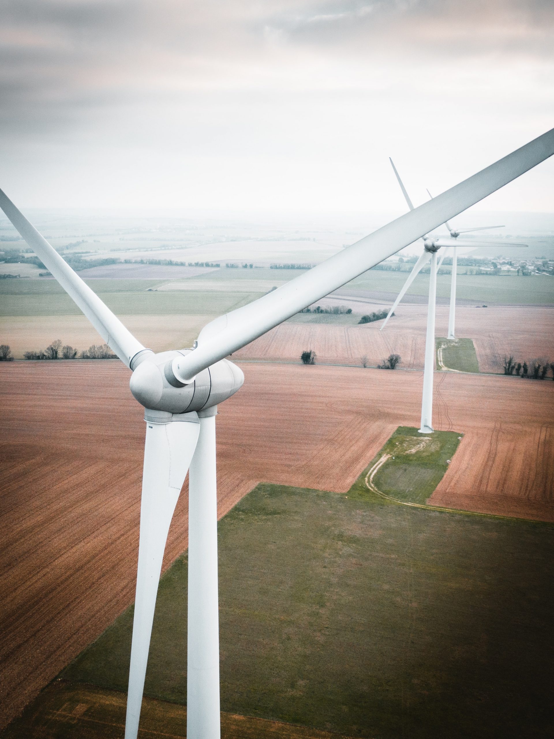 differences environnement et écologie